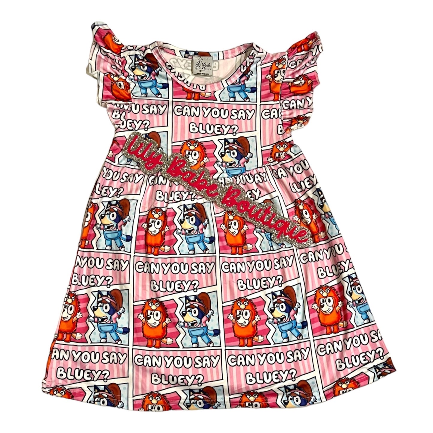 Can You Say Bluey Dress