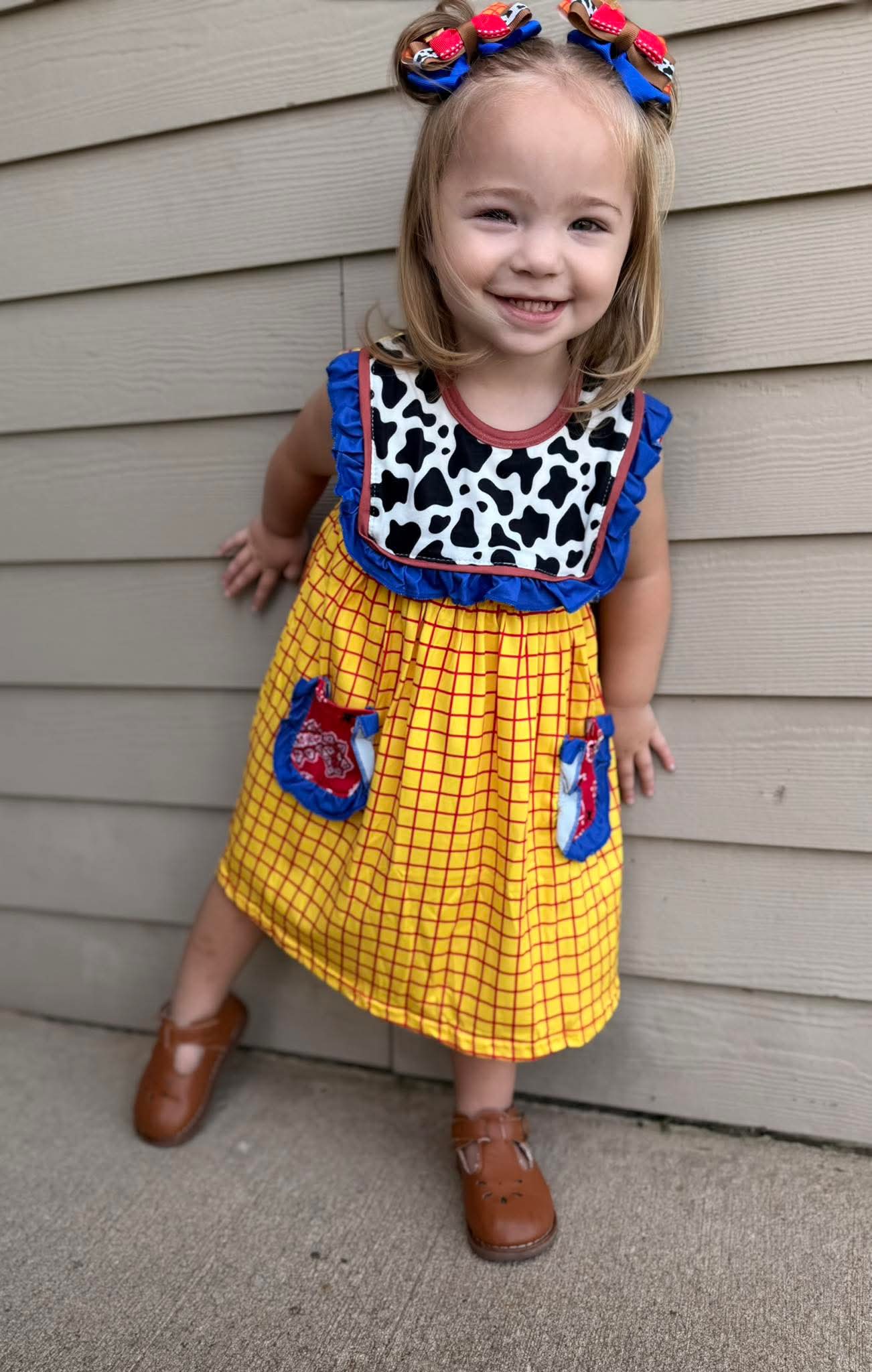Cowboy Bibbed Dress