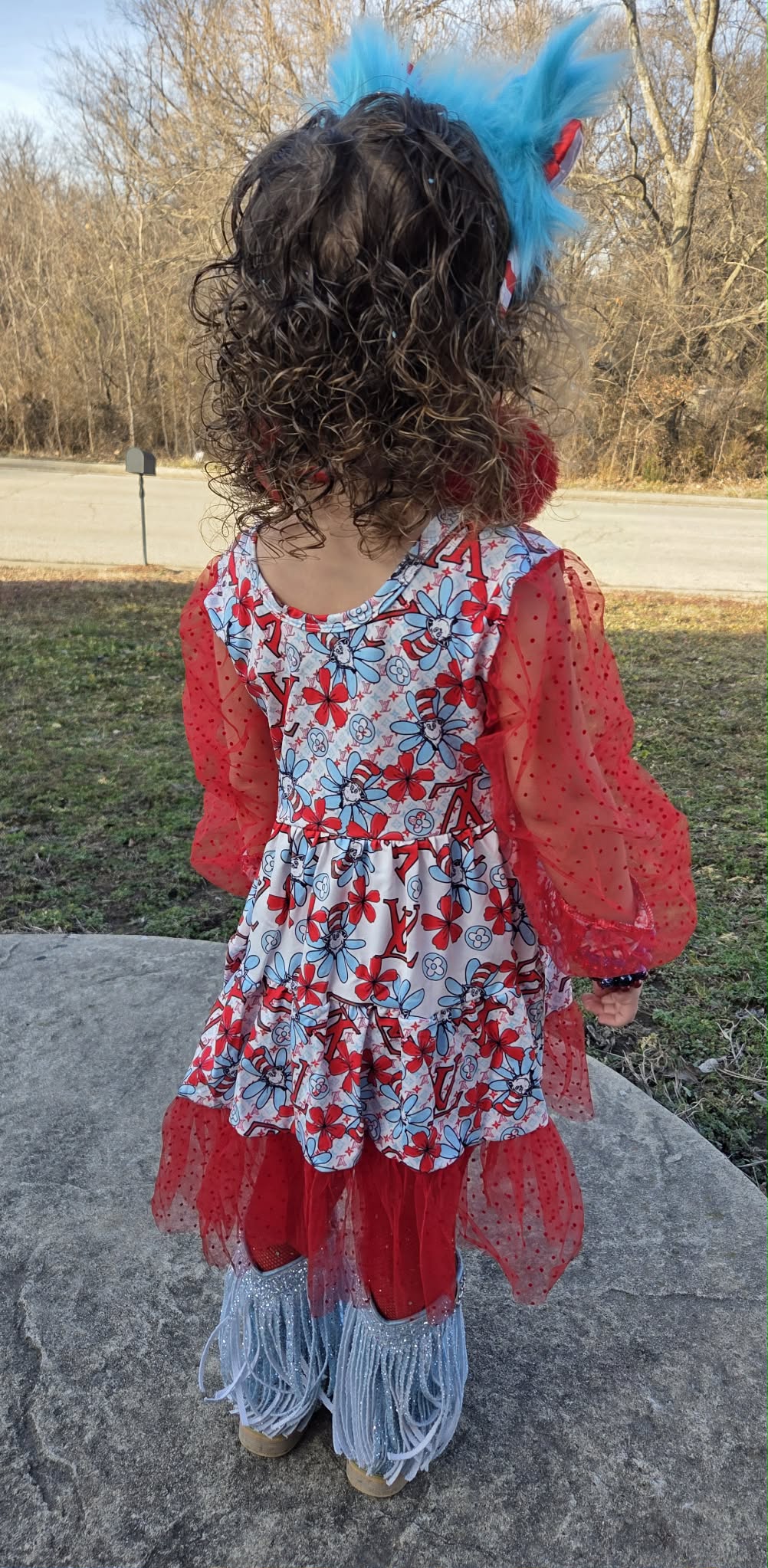 Dr S Mesh Twirl Dress