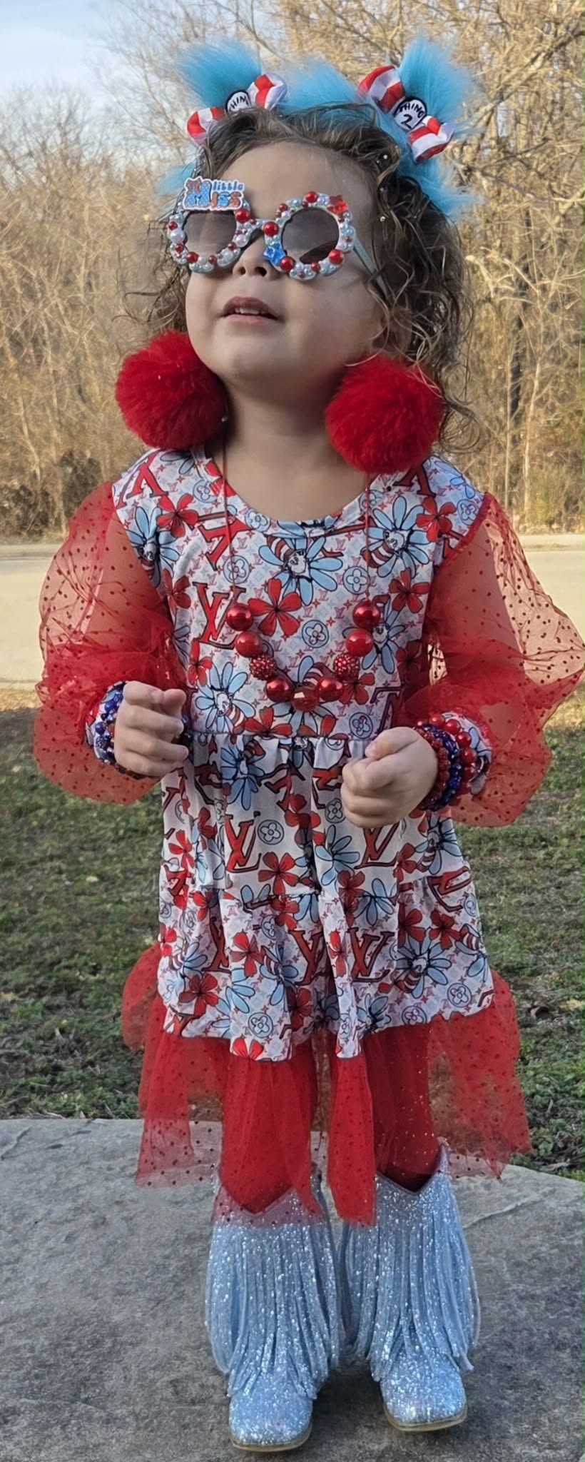 Dr S Mesh Twirl Dress